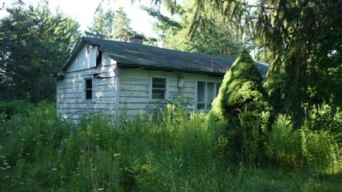 Jefferson bung - Jefferson-bungalow33.jpg