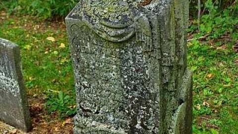 Easy To Nith - Canning-pioneer-Cemetery22.jpg