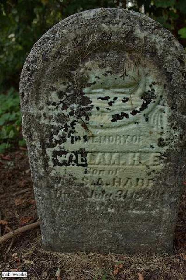 Canning pioneer Cemetery photo 2