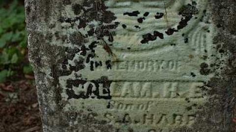 Easy To Nith - Canning-pioneer-Cemetery15.jpg