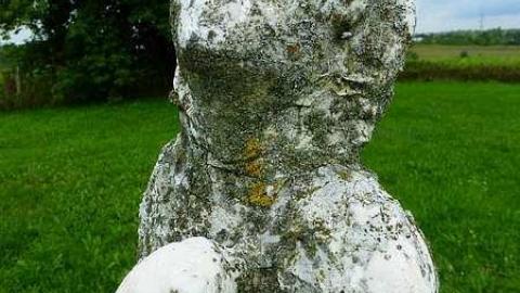 Back inblack - Dickie-Settlement-Cemetery47.jpg