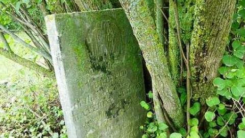 Back inblack - Dickie-Settlement-Cemetery37.jpg