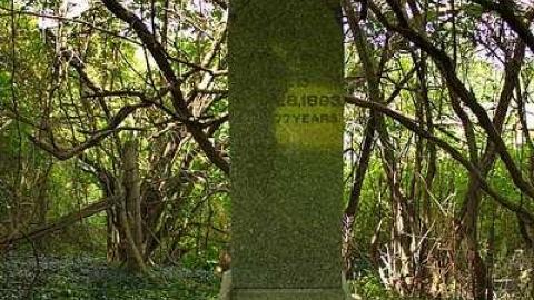 Easy To Nith - Canning-pioneer-Cemetery36.jpg