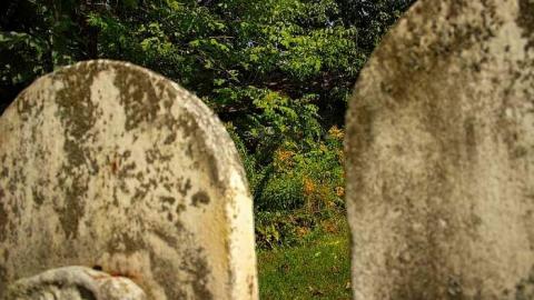 Easy To Nith - Canning-pioneer-Cemetery43.jpg