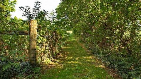 Easy To Nith - Canning-pioneer-Cemetery47.jpg