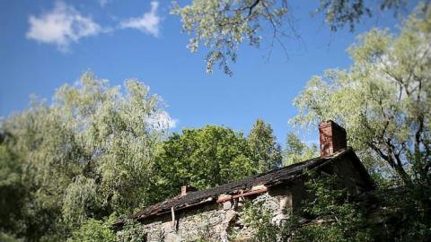 Clarington Skelding - Clarington-Jackpot216.jpg