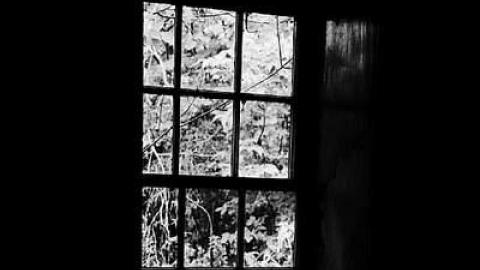 Clarington Skelding - Clarington-Jackpot218.jpg