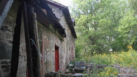 Clarington Skelding - Clarington-Jackpot221.jpg