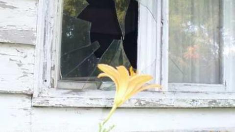 Jefferson bung - Jefferson-bungalow46.jpg