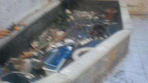 drug house - Pammett-Drug-House123.jpg