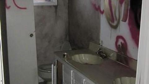 Nov. 15, 2016 - Long-forgotten-beauty127.jpg