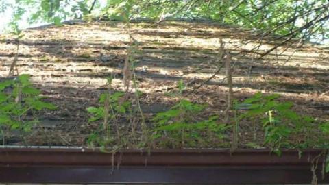 Beynon - Beynon-House53.jpg