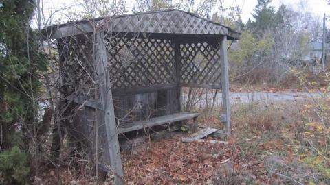 Nov. 15, 2016 - Long-forgotten-beauty50.jpg