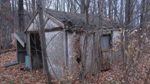 Nov. 15, 2016 - Long-forgotten-beauty51.jpg