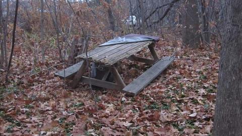 Nov. 15, 2016 - Long-forgotten-beauty34.jpg