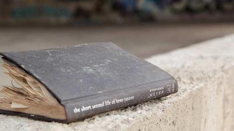 November 2016 - Cohen-And-Co-Steel-Distributors68.jpg