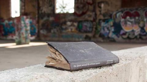 November 2016 - Cohen-And-Co-Steel-Distributors66.jpg