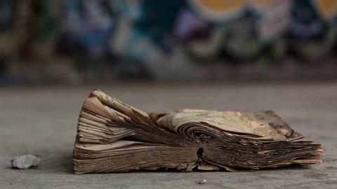 November 2016 - Cohen-And-Co-Steel-Distributors69.jpg