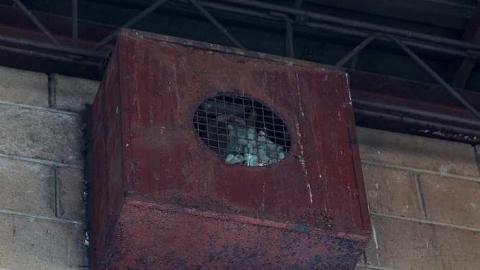 November 2016 - Cohen-And-Co-Steel-Distributors44.jpg