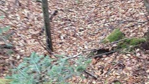 Emberson - Emberson-(ghost-town)6.jpg