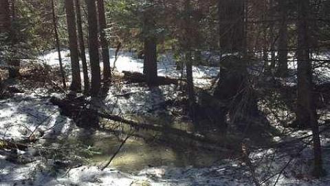 Emberson - Emberson-(ghost-town)2.jpg