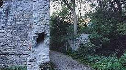 Doon Mills  - n-14713642_10155310908379638_3499333680709255492_n.jpg