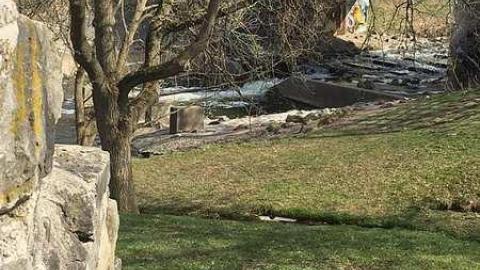 Doon Mills  - y-13133196_10154819990424638_7948884964258285211_n.jpg