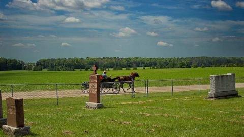 He Is Only Sleeping  - St.Peters-R.C.-pioneer-Cemetery32.jpg