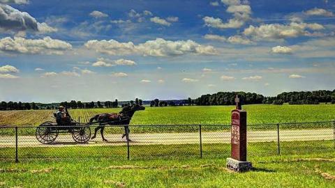 He Is Only Sleeping  - St.Peters-R.C.-pioneer-Cemetery33.jpg