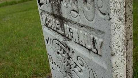 He Is Only Sleeping  - St.Peters-R.C.-pioneer-Cemetery10.jpg
