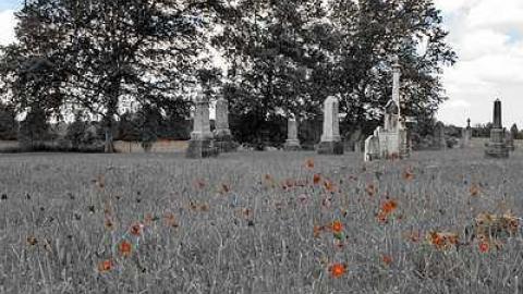 He Is Only Sleeping  - St.Peters-R.C.-pioneer-Cemetery23.jpg