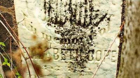 Death Set Us Apart - Throops-pioneer-Cemetery34.jpg