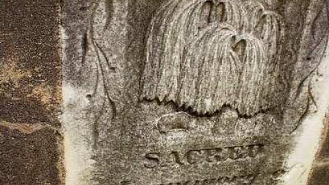 Death Set Us Apart - Throops-pioneer-Cemetery35.jpg