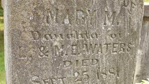 Death Set Us Apart - Throops-pioneer-Cemetery15.jpg