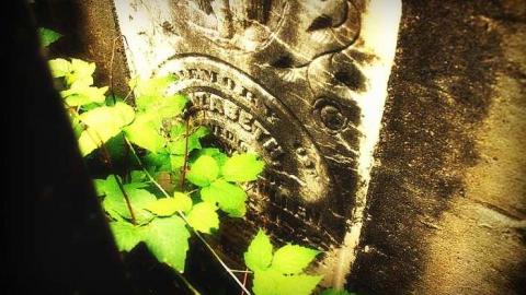 Death Set Us Apart - Throops-pioneer-Cemetery16.jpg