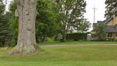 Death Set Us Apart - Throops-pioneer-Cemetery18.jpg