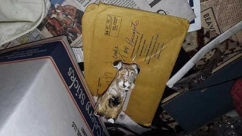 November 2016 - IMG_3165.jpg