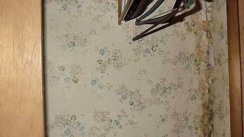 November 2016 - IMG_3167.jpg