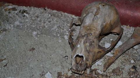 November 2016 - House-with-a-View221.jpg