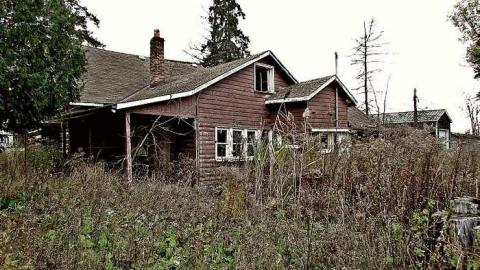 Photo from November, 2016