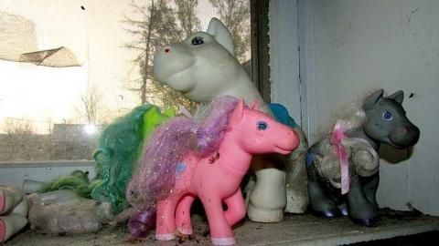 November, 2016 - IMG_5828.jpg