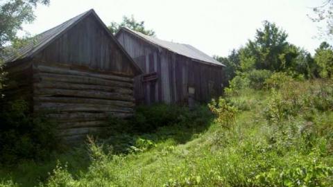 Haultain (ghost community) photo 3