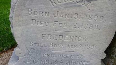 Hallman - Hallman-Pioneer-Cemetery-Cairn6.jpg