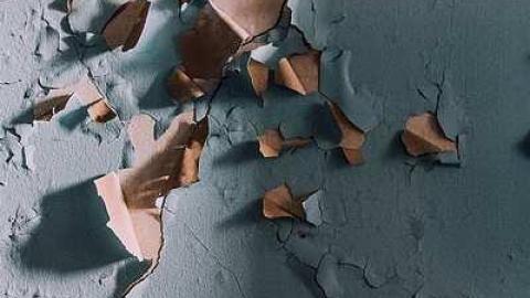 Houses & Main Building - Cullen-Gardens24.jpg