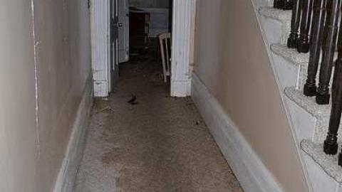 November 2016 - RussellChristie-House34.jpg