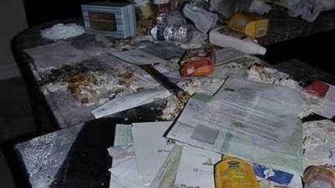 November 2016 - Abandoned-Grow-Op-Mansion--Drug-Dealers-Mansion--King-City74.jpg