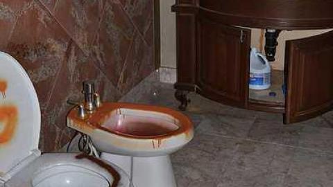 November 2016 - Abandoned-Grow-Op-Mansion--Drug-Dealers-Mansion--King-City100.jpg