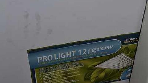 November 2016 - Abandoned-Grow-Op-Mansion--Drug-Dealers-Mansion--King-City105.jpg