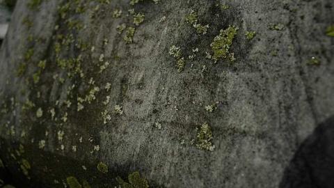 Hatchley [pioneer] Cemetery photo 4