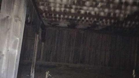 First trip - IMG_0504.jpg